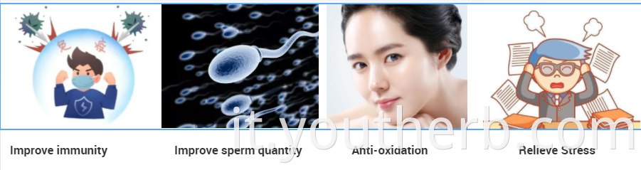 is ashwagandha root powder safe